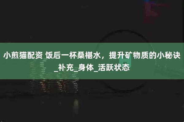 小煎猫配资 饭后一杯桑椹水，提升矿物质的小秘诀_补充_身体_活跃状态